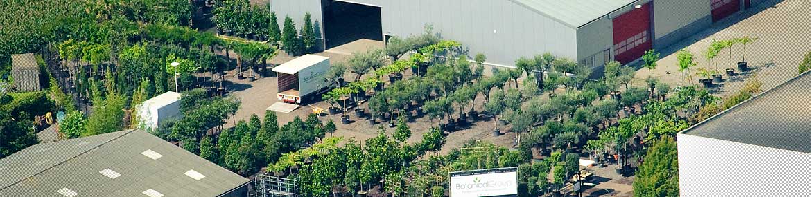 #htmlcaption2 Grootse voorraad… Bezoek ook onze Cash & Carry