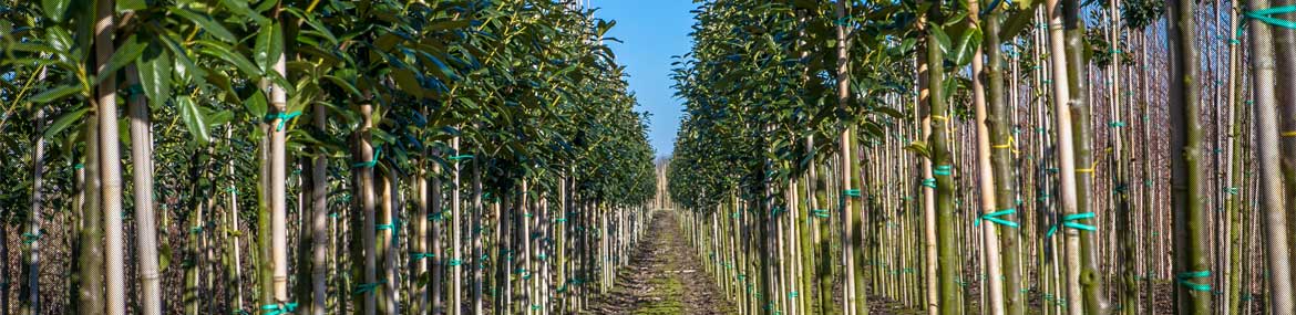 #htmlcaption3 Deskundig advies… Zowel online als bij onze Cash & Carry